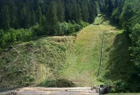 Ruszyła wycinka drzew