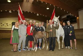 Austriacy podczas zgrupowania