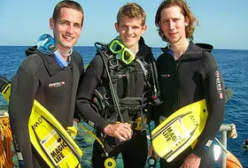 Loitzl. Morgenstern i Koch w Egipcie