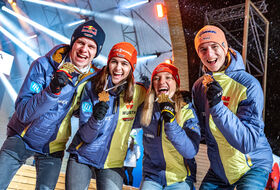 A. Wellinger, S. Freitag, K. Althaus i K. Geiger