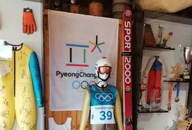 World of Ski Jumping